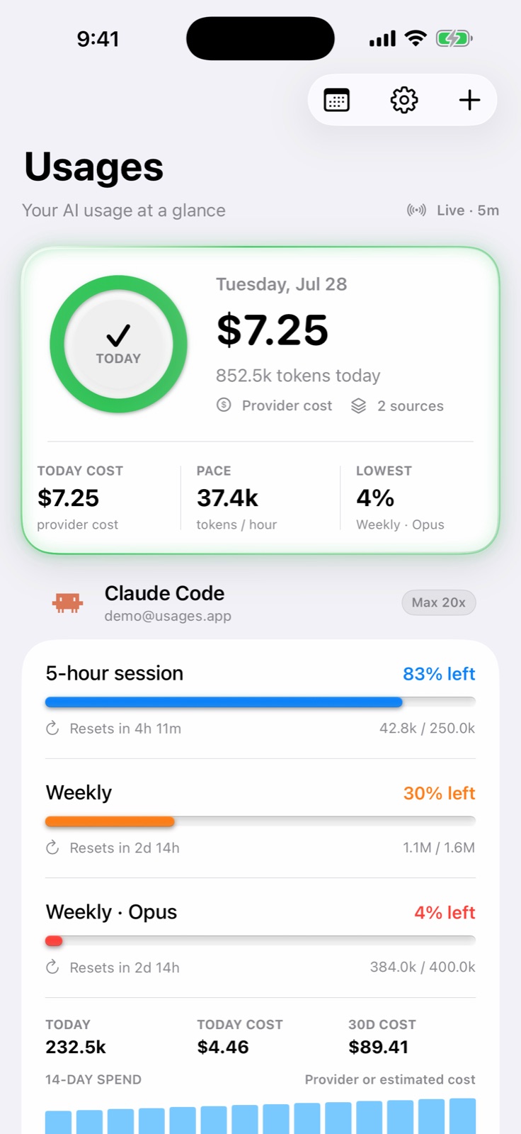 Usages dashboard showing AI quota and cost information
